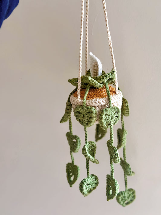 Monstera Hanging Plants | Handmade | Crochet